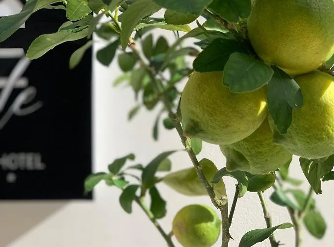 Re Sale Boutique Trapani